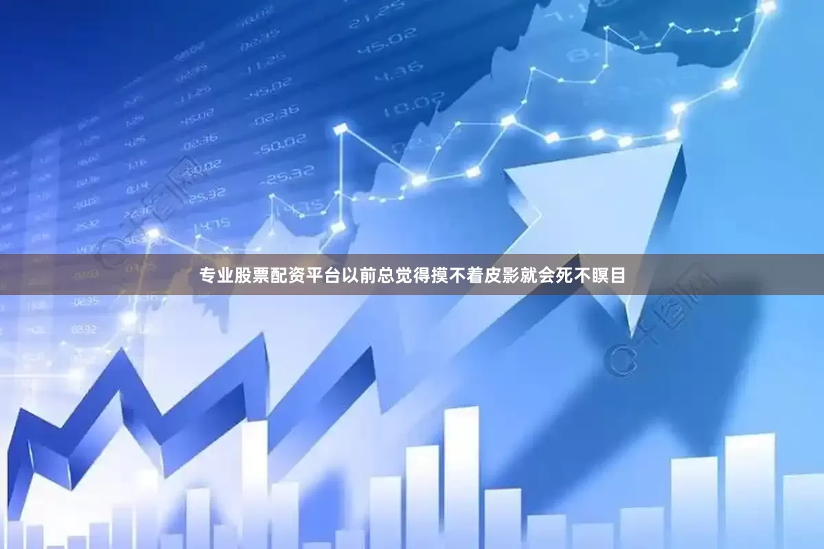 专业股票配资平台以前总觉得摸不着皮影就会死不瞑目
