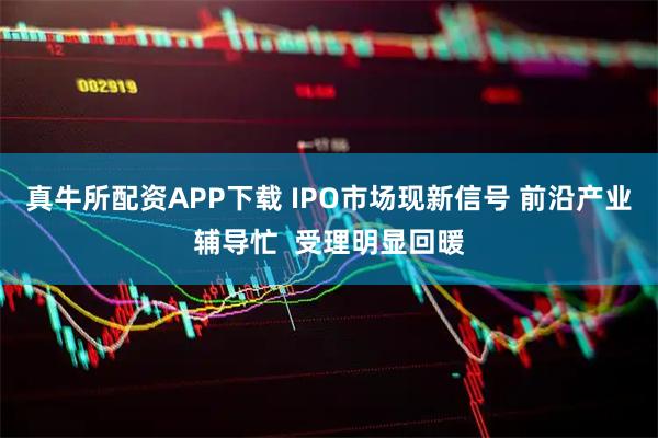 真牛所配资APP下载 IPO市场现新信号 前沿产业辅导忙  受理明显回暖