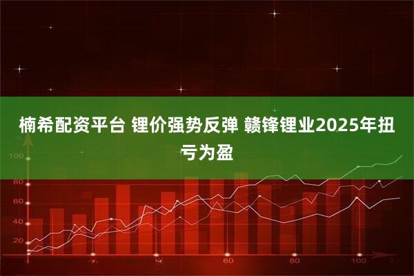 楠希配资平台 锂价强势反弹 赣锋锂业2025年扭亏为盈